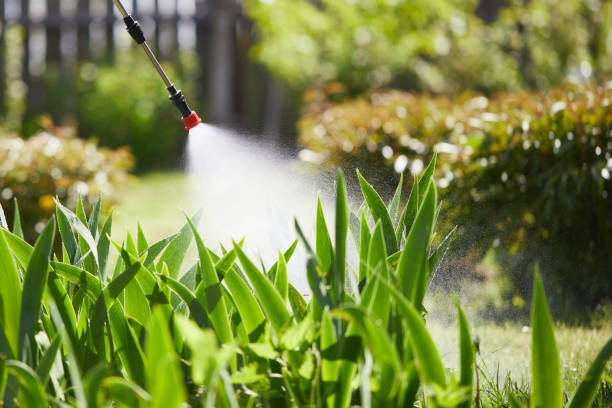 24/7 Emergency Mosquito Control experts in Arden Hills, MN